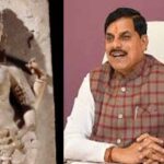 मुख्यमंत्री ने वाग्देवी प्रतिमा को विदेश से लाने की पहल को बताया विधिसम्मत प्रक्रिया का हिस्सा